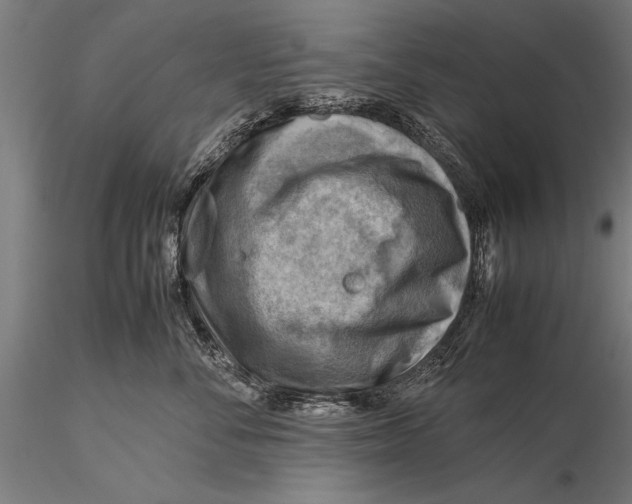 X0000116060716200912111528