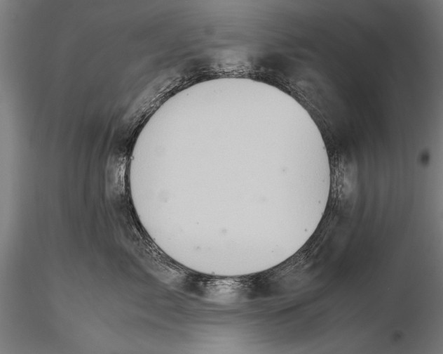 X0000116060717200912111528