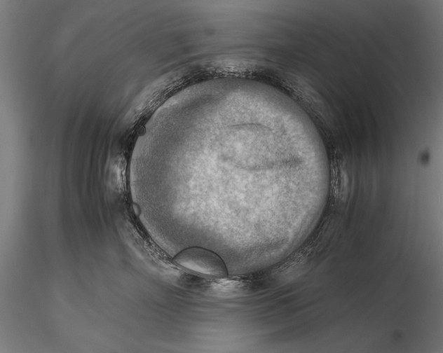 X0000116060718200912111528