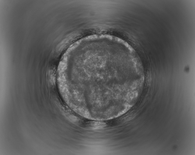 X0000116060719200912111528