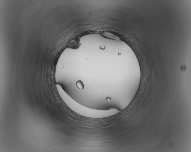 X0000116060720200912111528