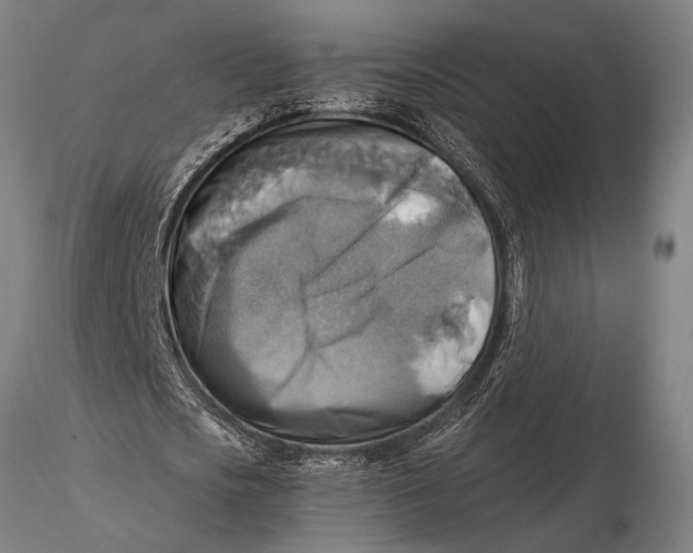 X0000116060721200912111527