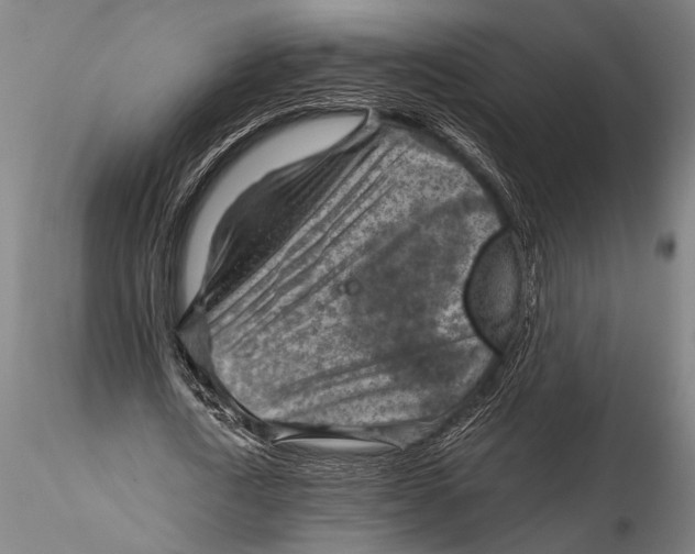 X0000116060722200912111527