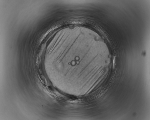 X0000116060723200912111527