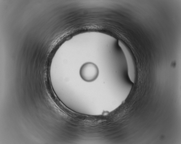 X0000116060725200912111527