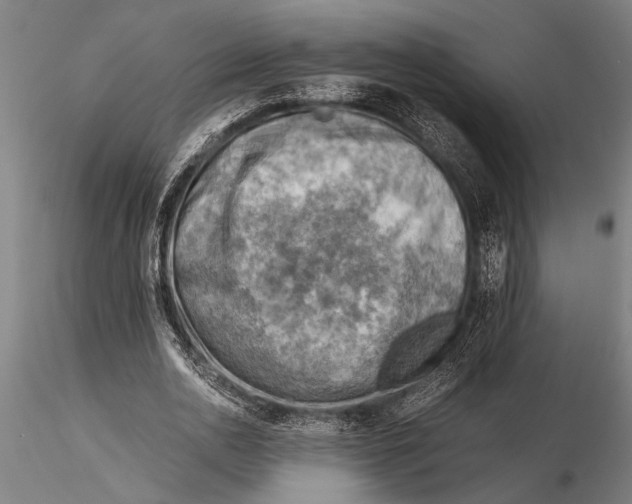 X0000116060726200912111527