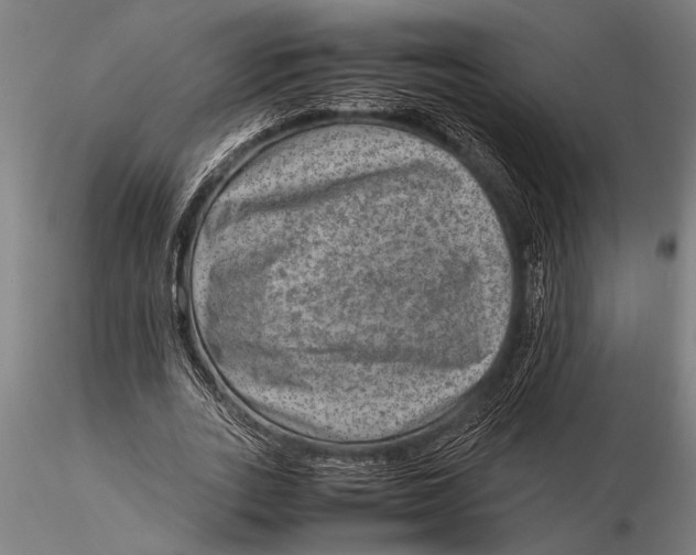 X0000116060727200912111527