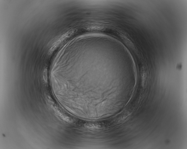 X0000116060729200912111527