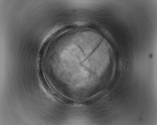 X0000116060730200912111527