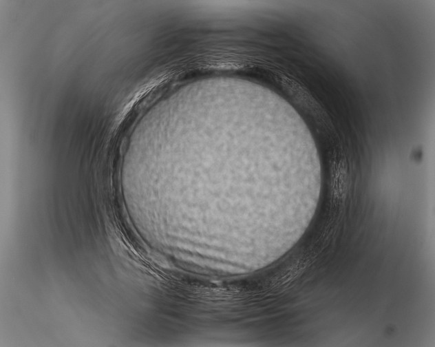 X0000116060731200912111527