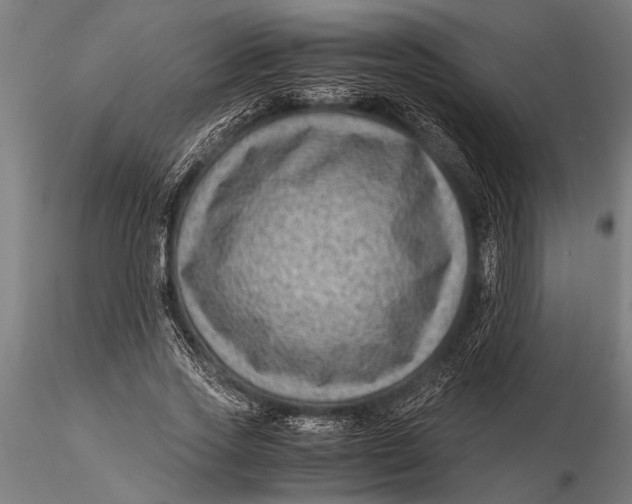 X0000116060733200912111527