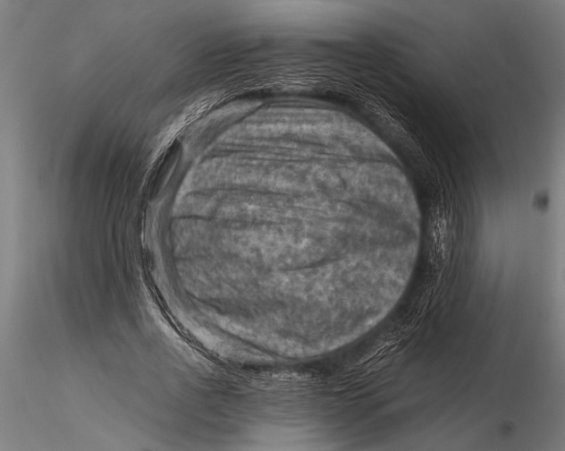 X0000116060734200912111527