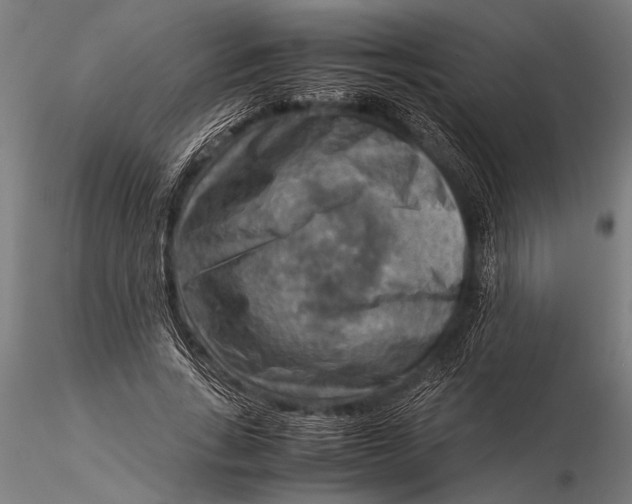 X0000116060735200912111527