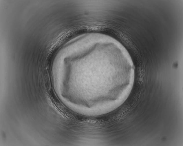 X0000116060738200912111527