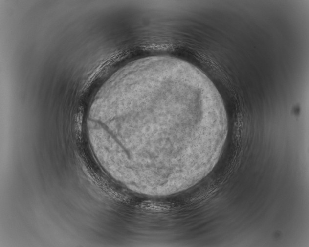 X0000116060739200912111527