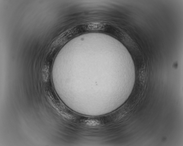 X0000116060741200912111527