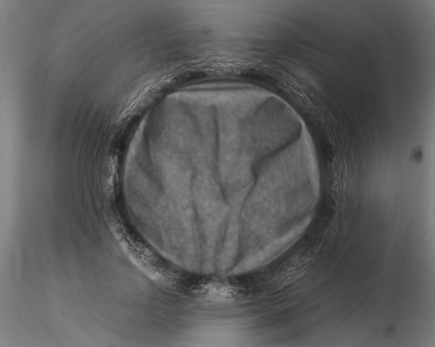 X0000116060742200912111527