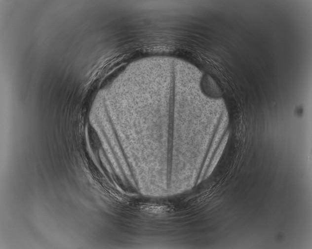 X0000116060743200912111527