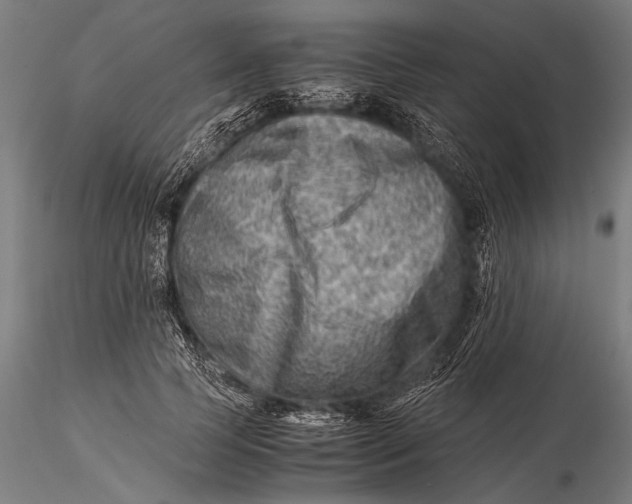 X0000116060745200912111527