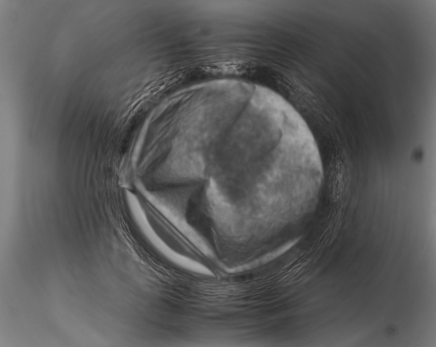 X0000116060747200912111527