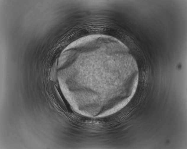 X0000116060751200912111528