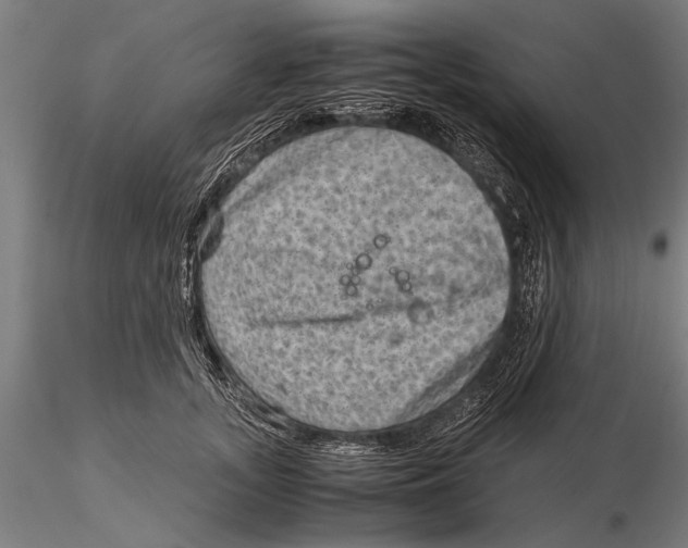 X0000116060755200912111528