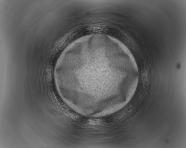 X0000116060757200912111528