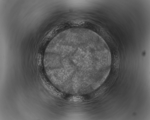 X0000116060758200912111528