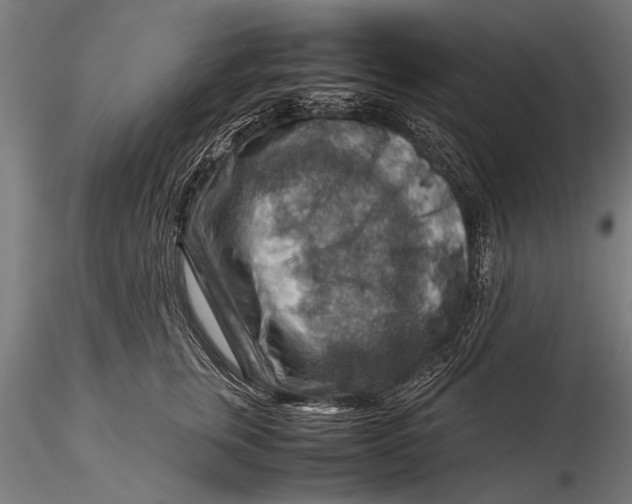 X0000116060759200912111528