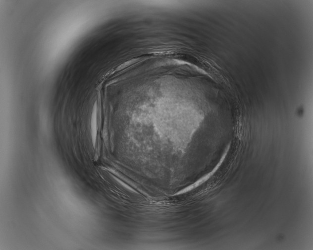 X0000116060763200912111528