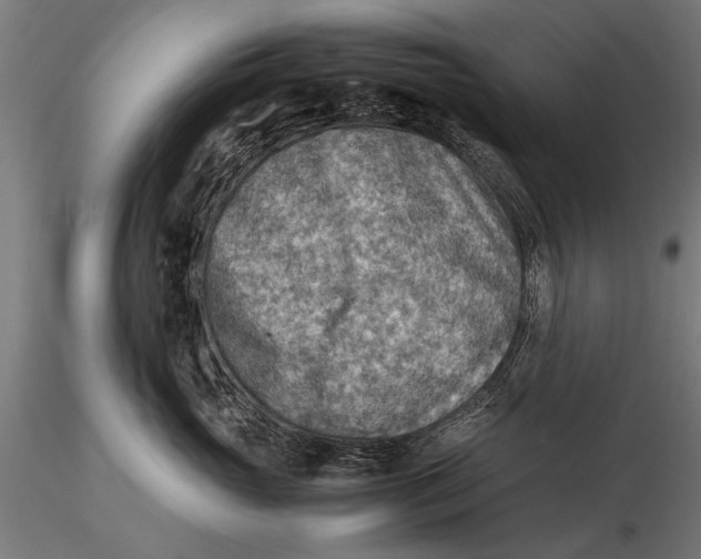 X0000116060765200912111528