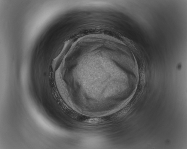 X0000116060766200912111528