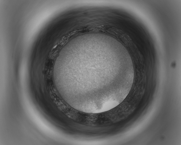 X0000116060767200912111528