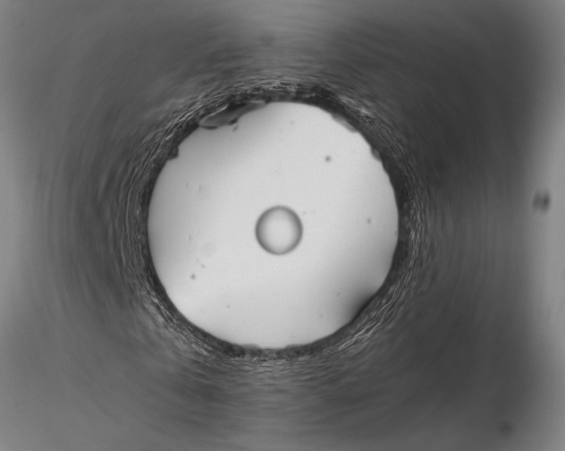 X0000116060769200912111527