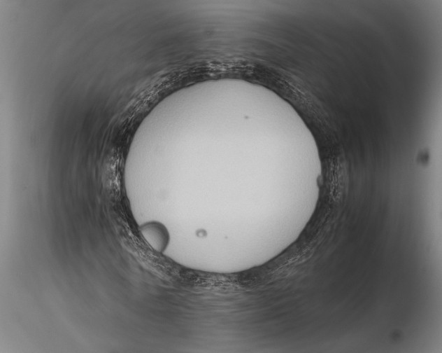 X0000116060770200912111527