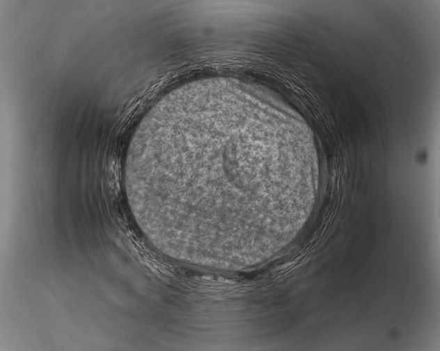 X0000116060772200912111527