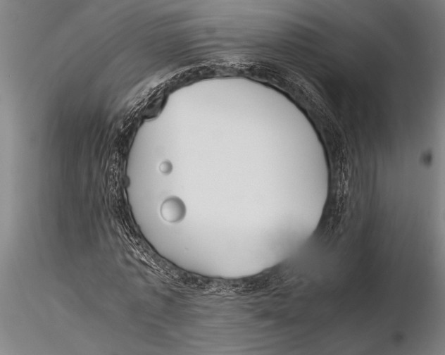 X0000116060773200912111527