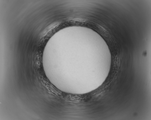 X0000116060774200912111527