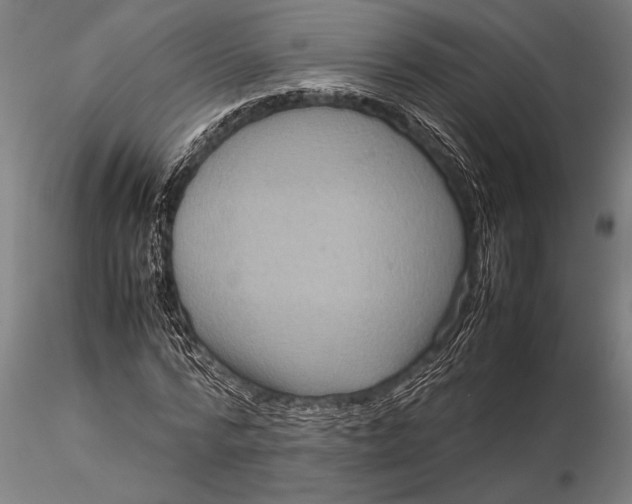 X0000116060776200912111527