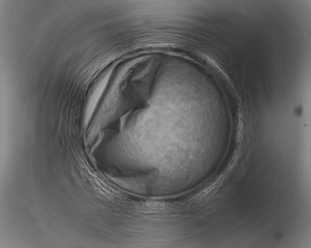 X0000116060777200912111527