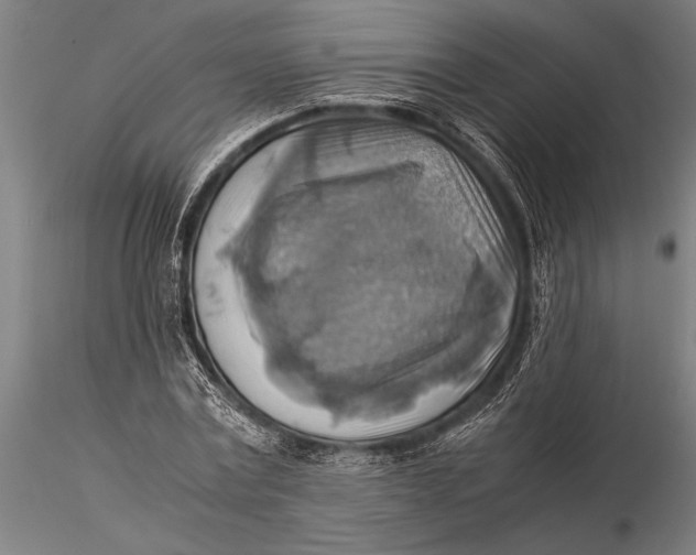 X0000116060779200912111527