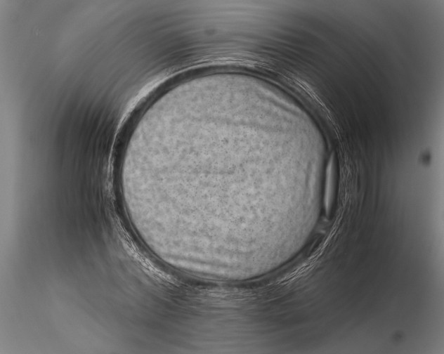 X0000116060780200912111527