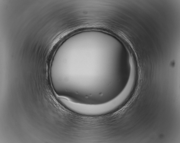 X0000116060781200912111527