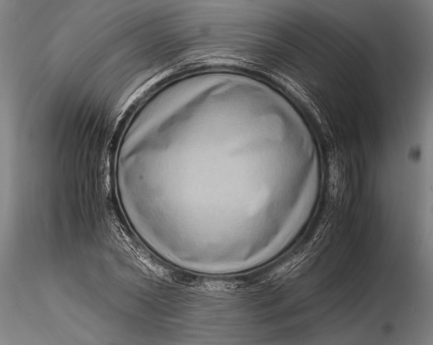 X0000116060782200912111527