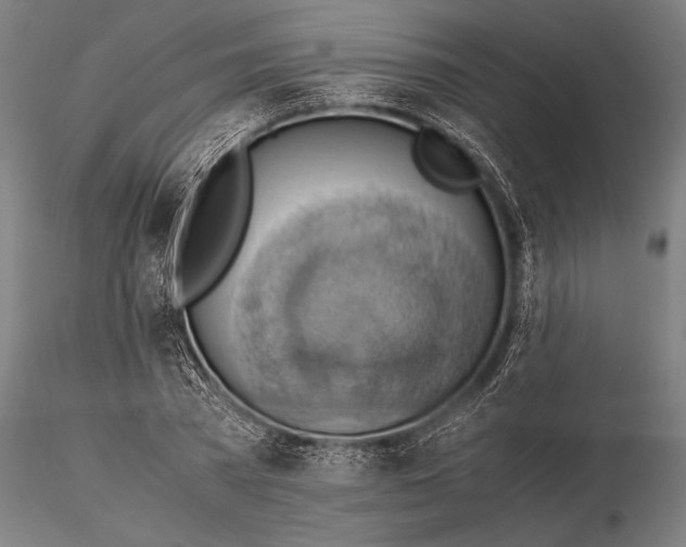 X0000116060785200912111527