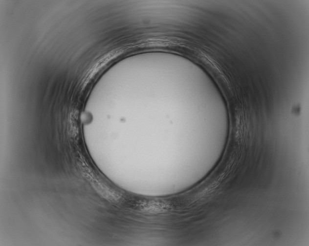 X0000116060786200912111527