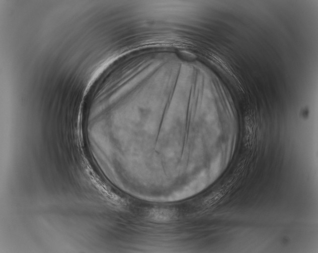 X0000116060788200912111527