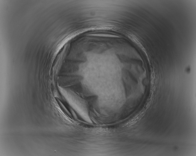 X0000116060789200912111527