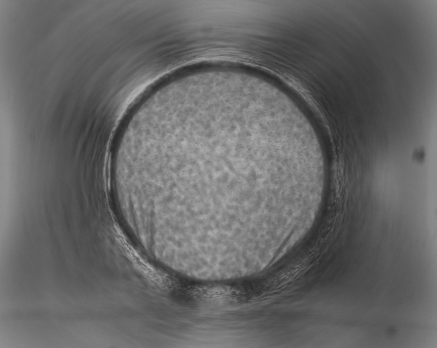 X0000116060791200912111527