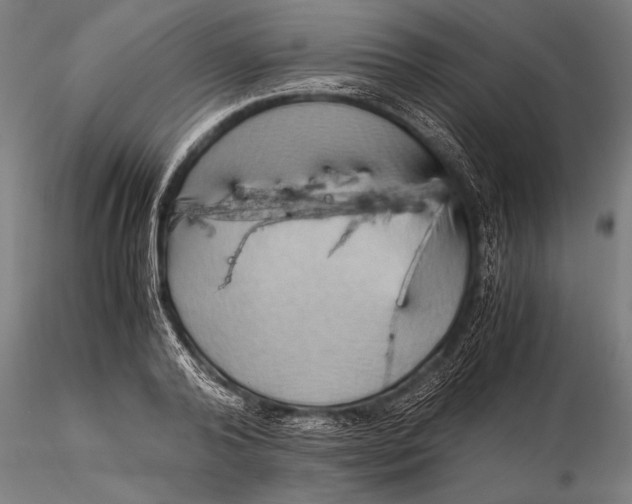 X0000116060792200912111527